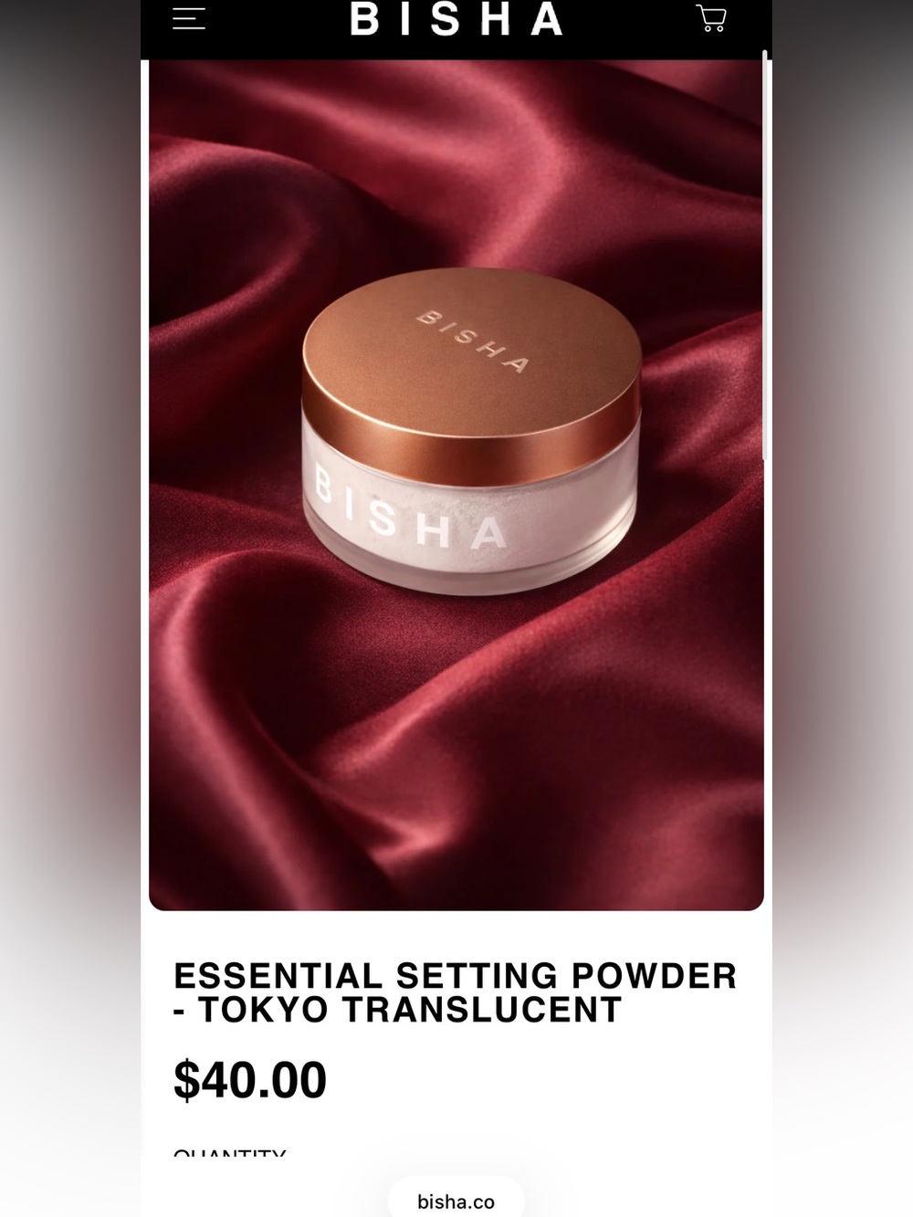 BISHA Translucent Setting Powder 🆕